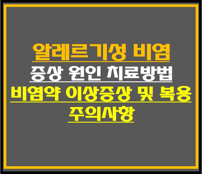  알레르기성 비염 증상 원인 치료방법 , 비염약 이상증상 및 복용 주의사항