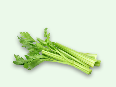 샐러리 효능 10가지 18