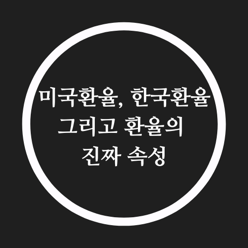  미국 환율 한국 환율 환율의 진짜 속성
