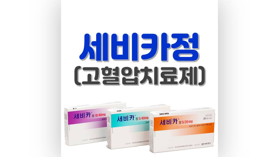 세비카정 썸네일