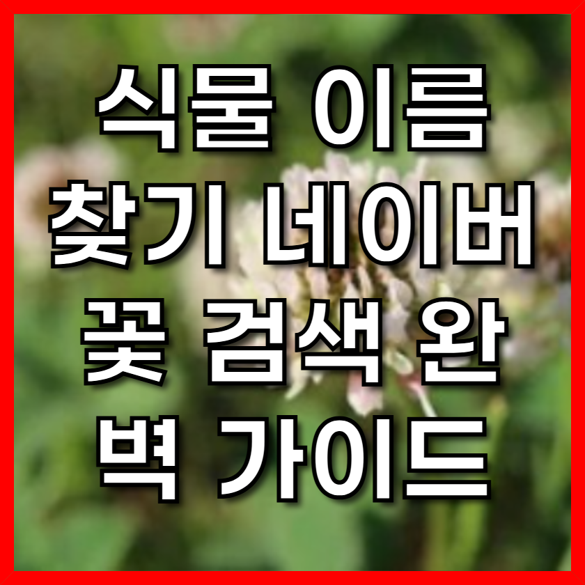 식물 이름 찾기 네이버 꽃 검색 완벽 가이드: 스마트렌즈 활용법 &amp; 숨겨진 꿀팁 대방출! - 빠른행복