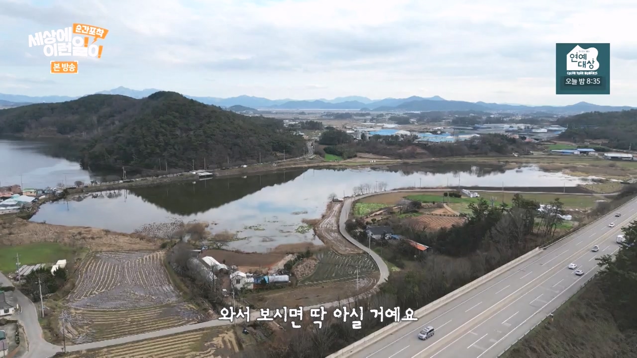 순간포착 세상에 이런일이.E1258.231231p-NEXT.mp4_20231231_164557.988.jpg