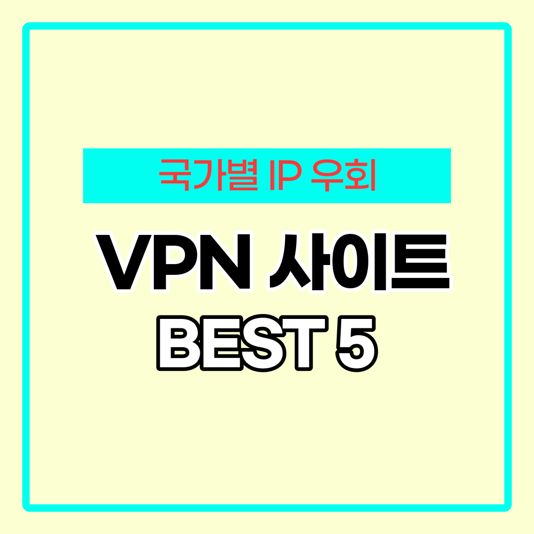 VPN 우회 프로그램