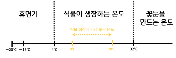  식물을 키울때 가장 중요한 3가지