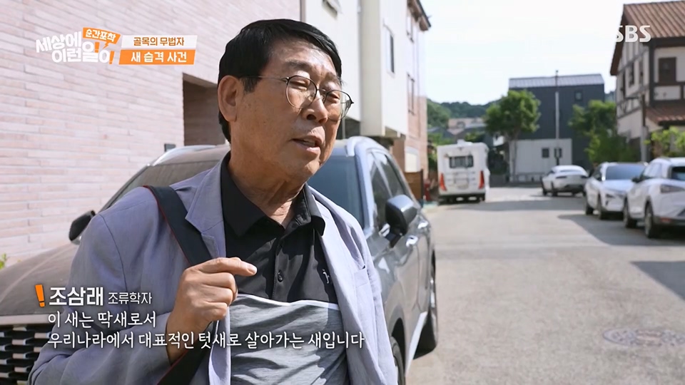 순간포착 세상에 이런일이.E1233.230617p.H264-F1RST.mp4_20230618_175938.886.jpg