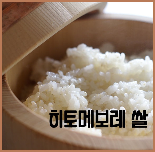 히토메보레 쌀