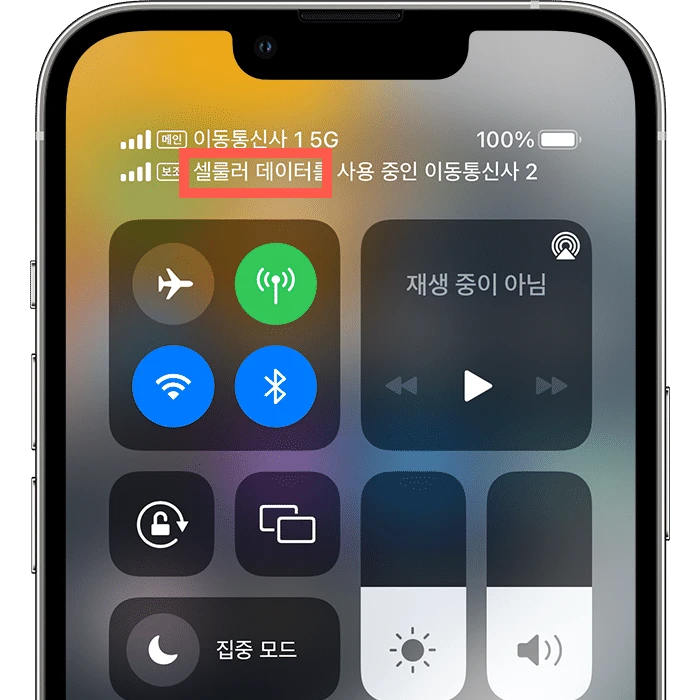 셀룰러 데이터 사용하기