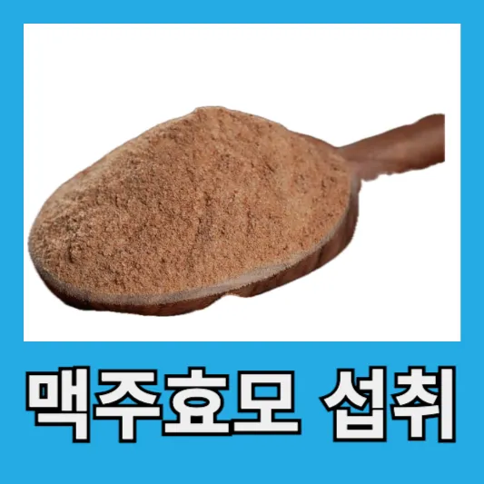 맥주효모 섭취 방법