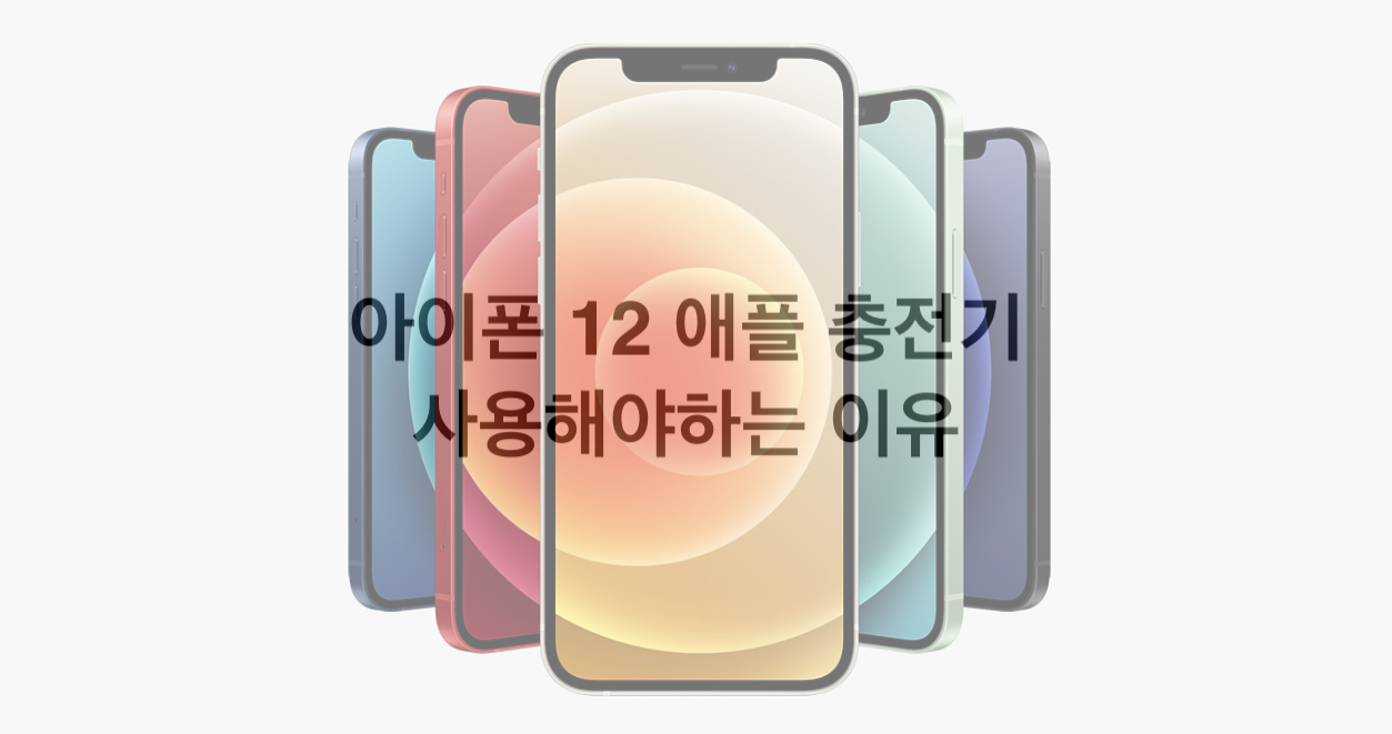  아이폰12 충전기 정품으로 구매하는 이유