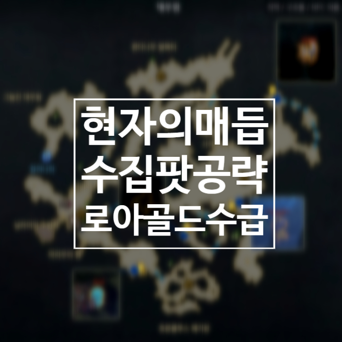  로아 골드수급 현자의매듭 수집팟 매듭팟 공략