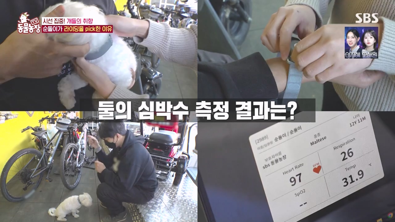 TV 동물농장.E1152.231232p-NEXT.mp4_20231231_172007.207.jpg