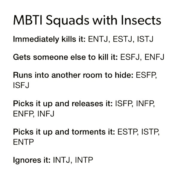  mbti 유형별 벌레가 나타났다!