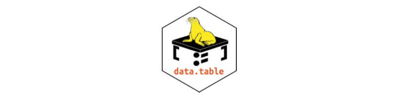 R-datatable-아이콘