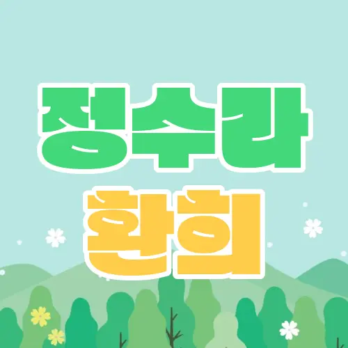 정수라 환희