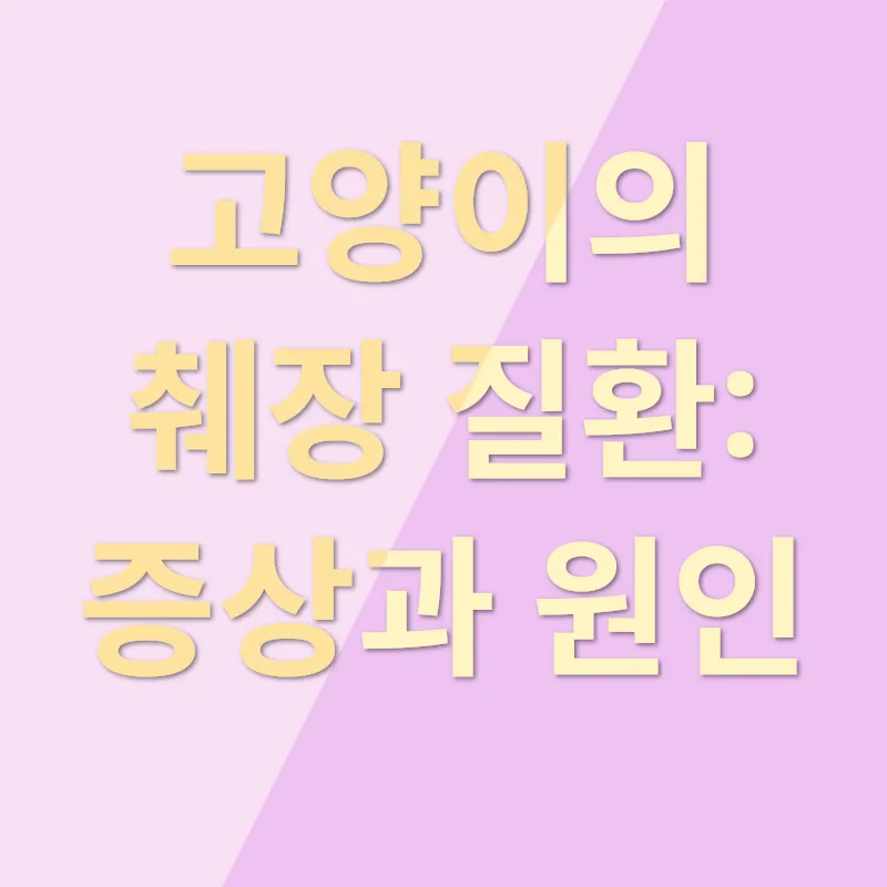 고양이 췌장 질환_1