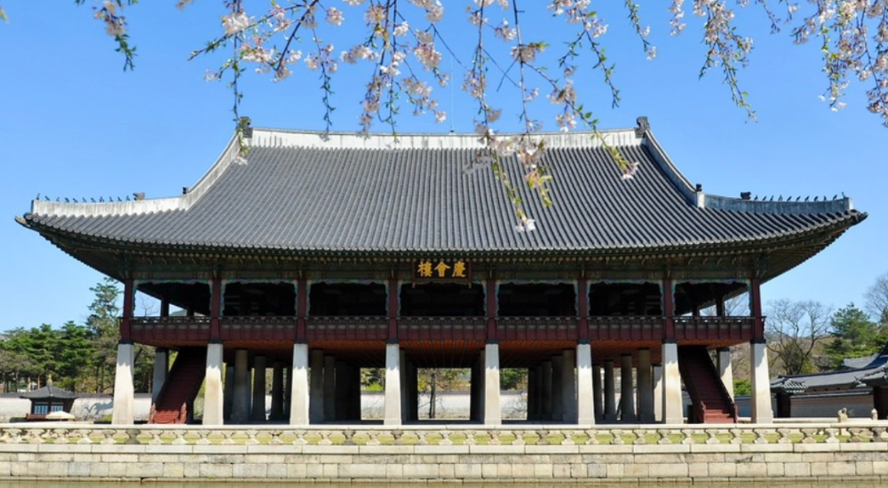  2024 벚꽃명소 경복궁,각원사 개화시기