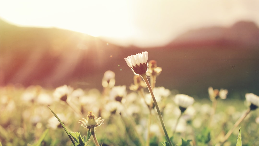 Spring.