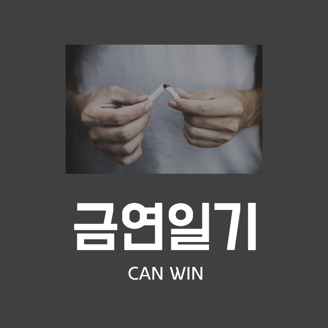  금연일기 몇일차지? 20일인가..