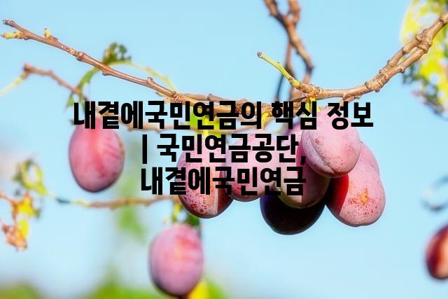 랜덤186