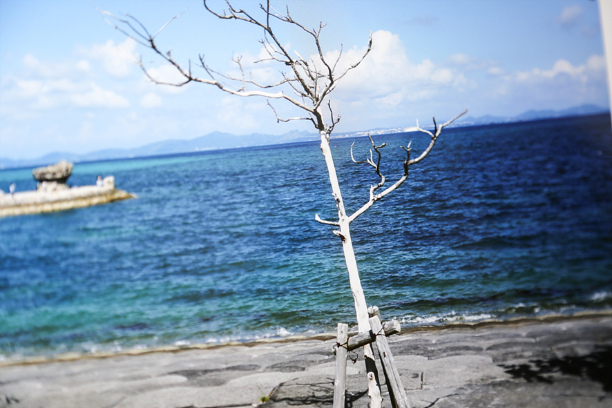 액정태블릿 웹툰 작가를 준비한다면 추천!● 27형 대화면 터치 모니터 "창은테크" 9