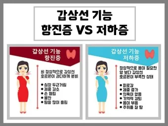갑상샘 저하증 갑상선 기능저하증 증상 수치 치료_20