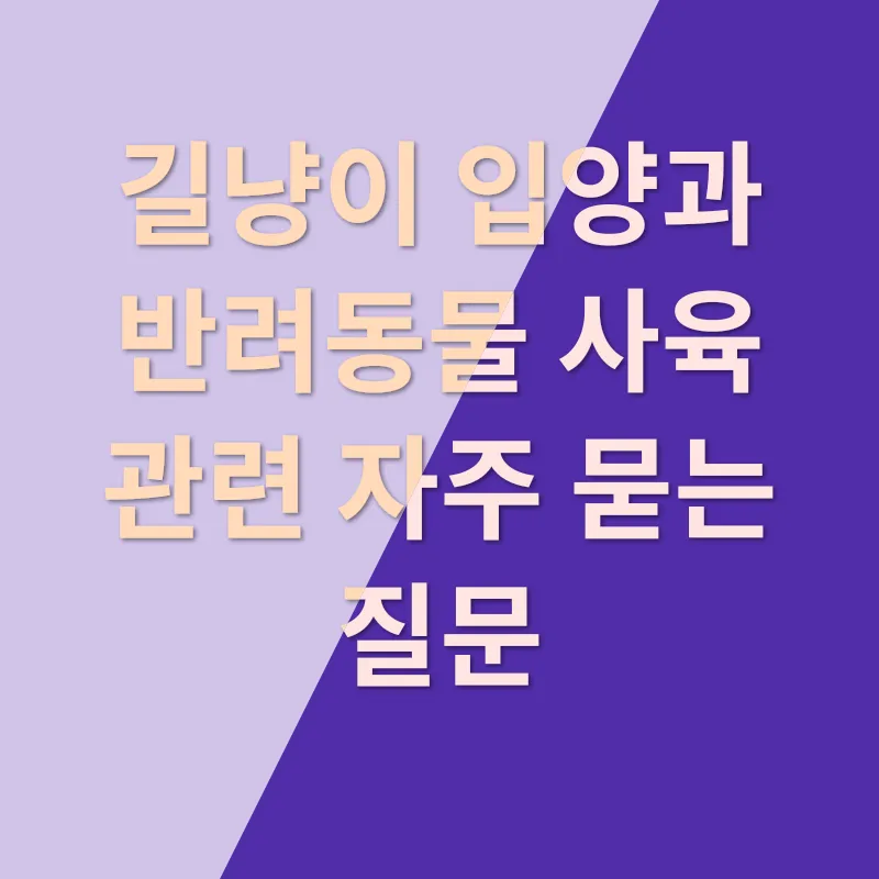 길냥이 입양, 반려동물 사랑_4