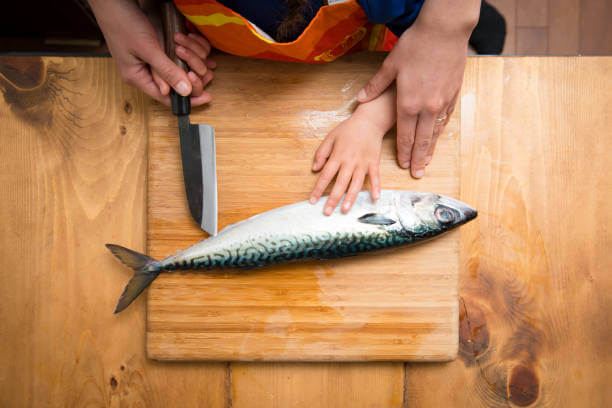 고등어 비린내 제거법, 보관법, 해동법, 굽는법