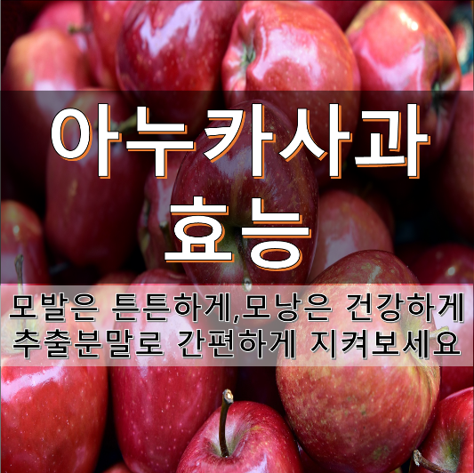 아누카사과 분말로 쉽고 간편하게 탈모방지