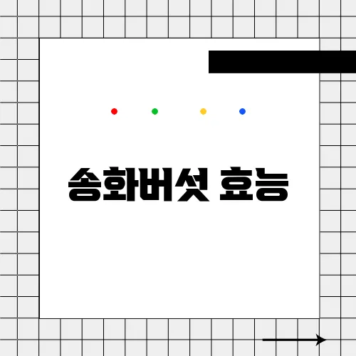 송화버섯 효능