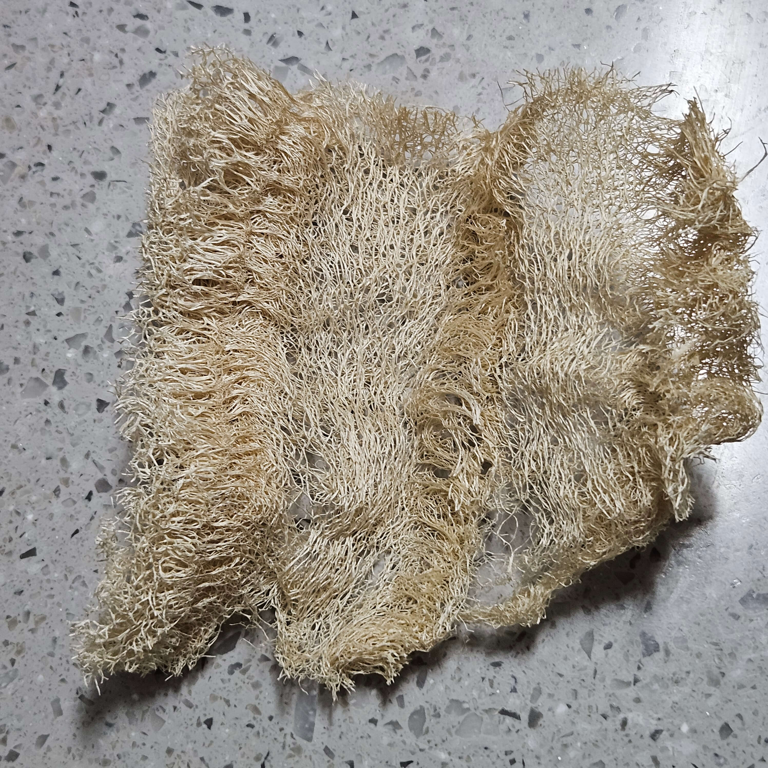 천연수세미 일주일 사용
