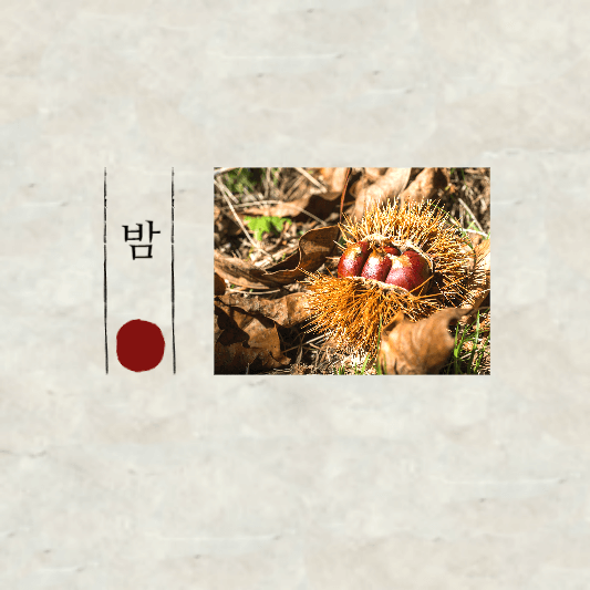 밤 효능