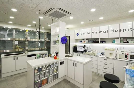 송파스마일동물병원