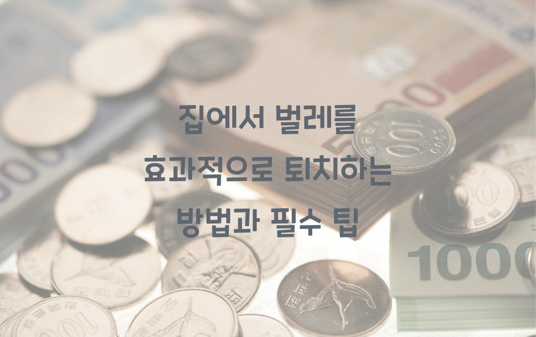 집에서 벌레를 효과적으로 퇴치하는 방법