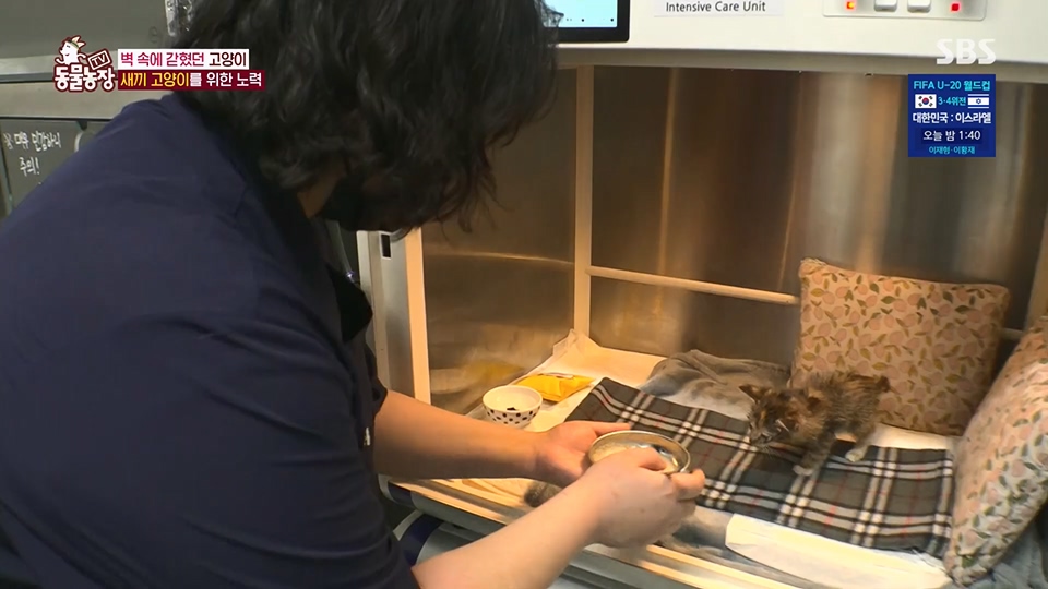 TV 동물농장.E1124.230611p.H264-F1RST.mp4_20230611_173550.345.jpg