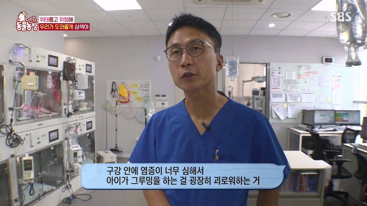 TV 동물농장.E1143.231030p-NEXT.mp4_20231029_164144.075.jpg