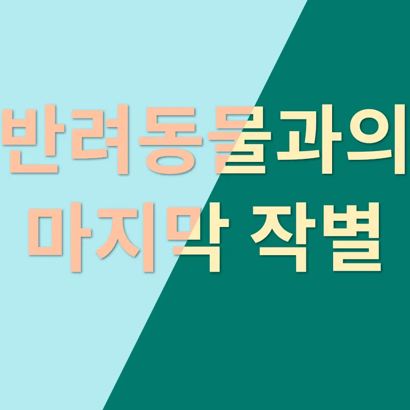 반려동물 장례_3_subsection