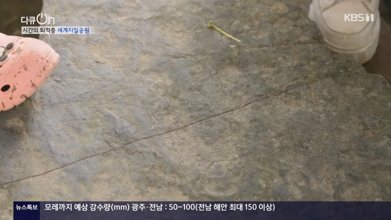 다큐 온.E206.230723p-NEXT.mp4_20230724_214219.902.jpg