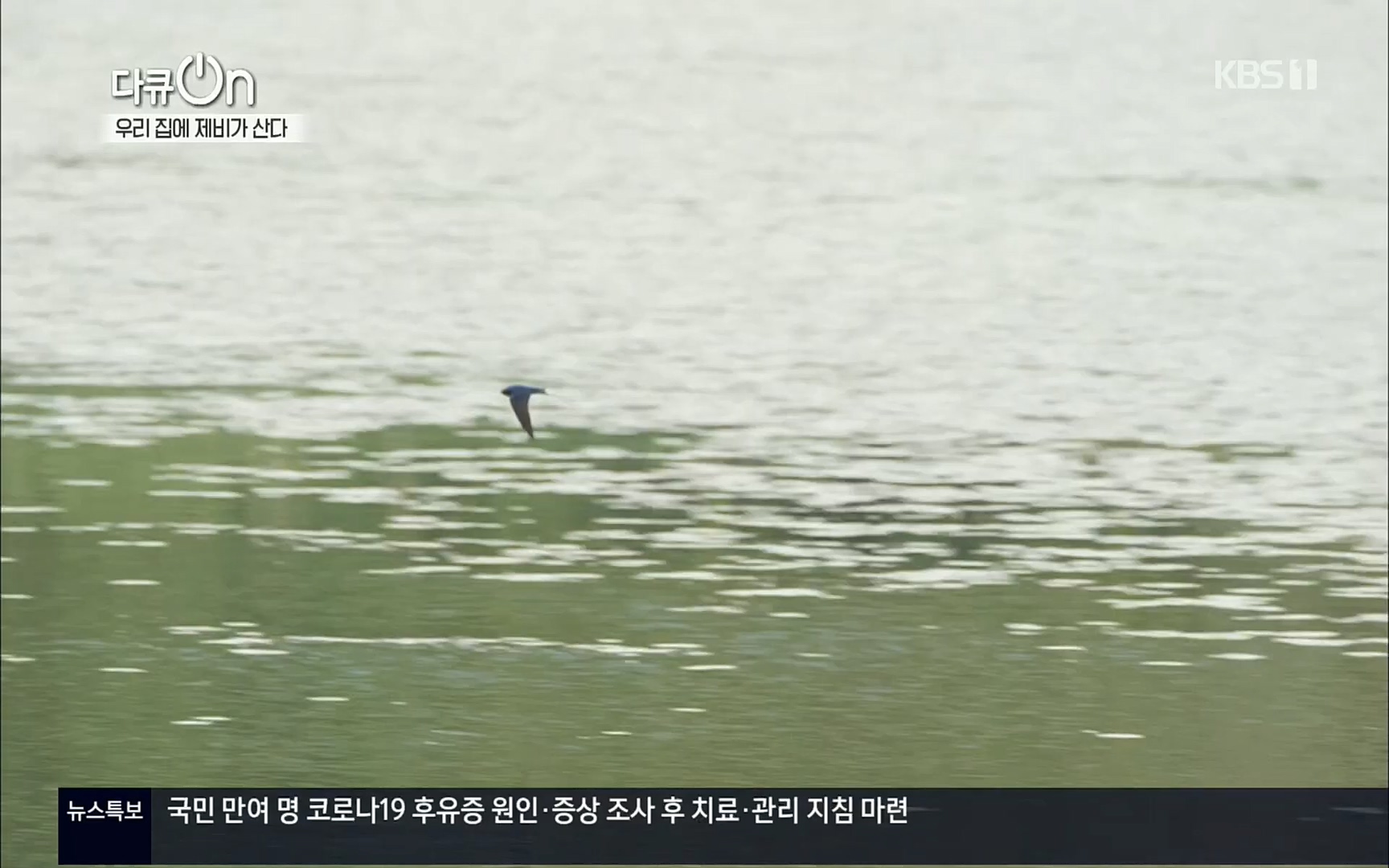 다큐 On.E143.220610p.H264-F1RST.mp4_20220613_202637.353.jpg