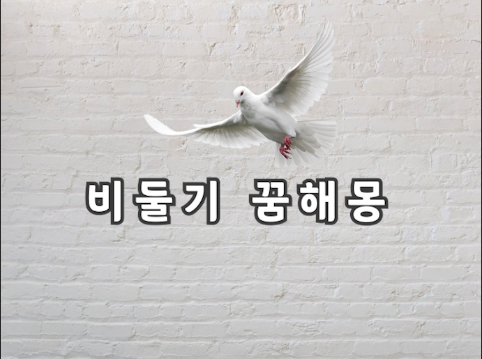  비둘기 꿈 비둘기가 꿈에 나왔다는건 이런 의미에요