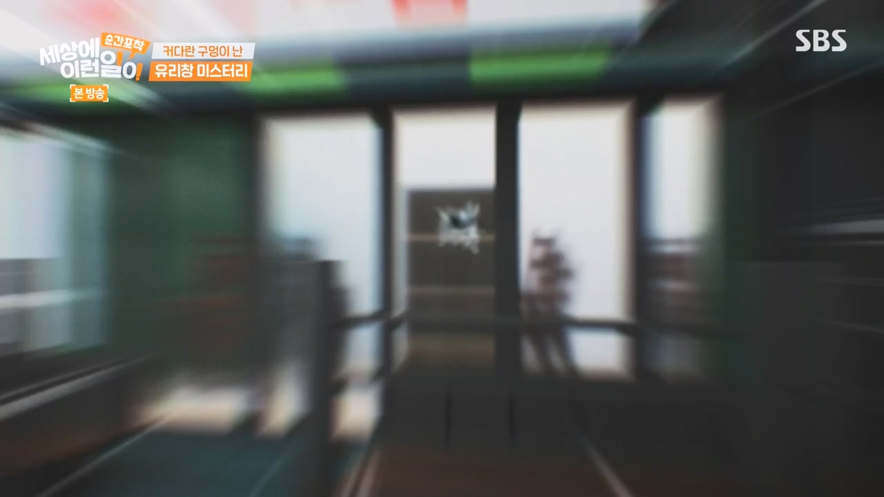 순간포착 세상에 이런일이.E1250.231029p-NEXT.mp4_20231029_153406.048.jpg