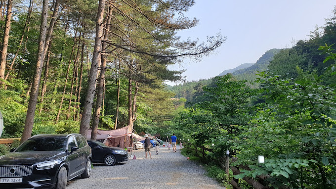 남양주 계곡캠핑, '힐링별밤수목원캠핑장' 미리보기