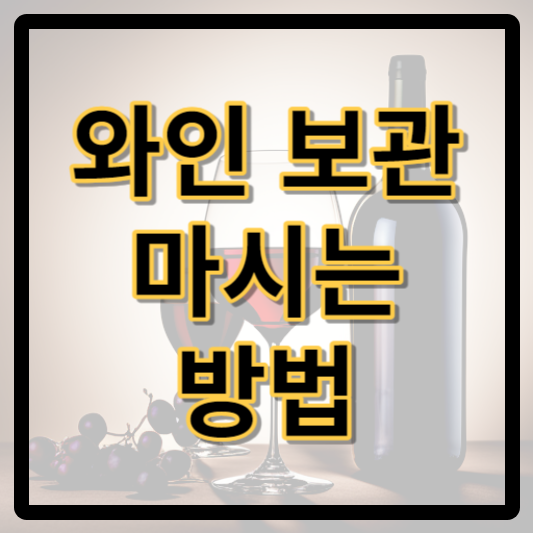 와인 보관부터 마시는 방법