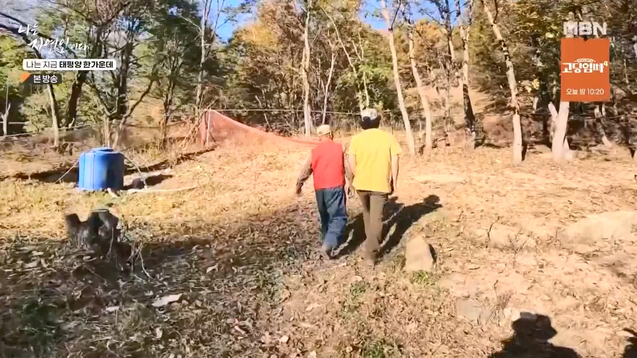 나는 자연인이다.E581.231123p-NEXT.mp4_20231123_200713.394.jpg