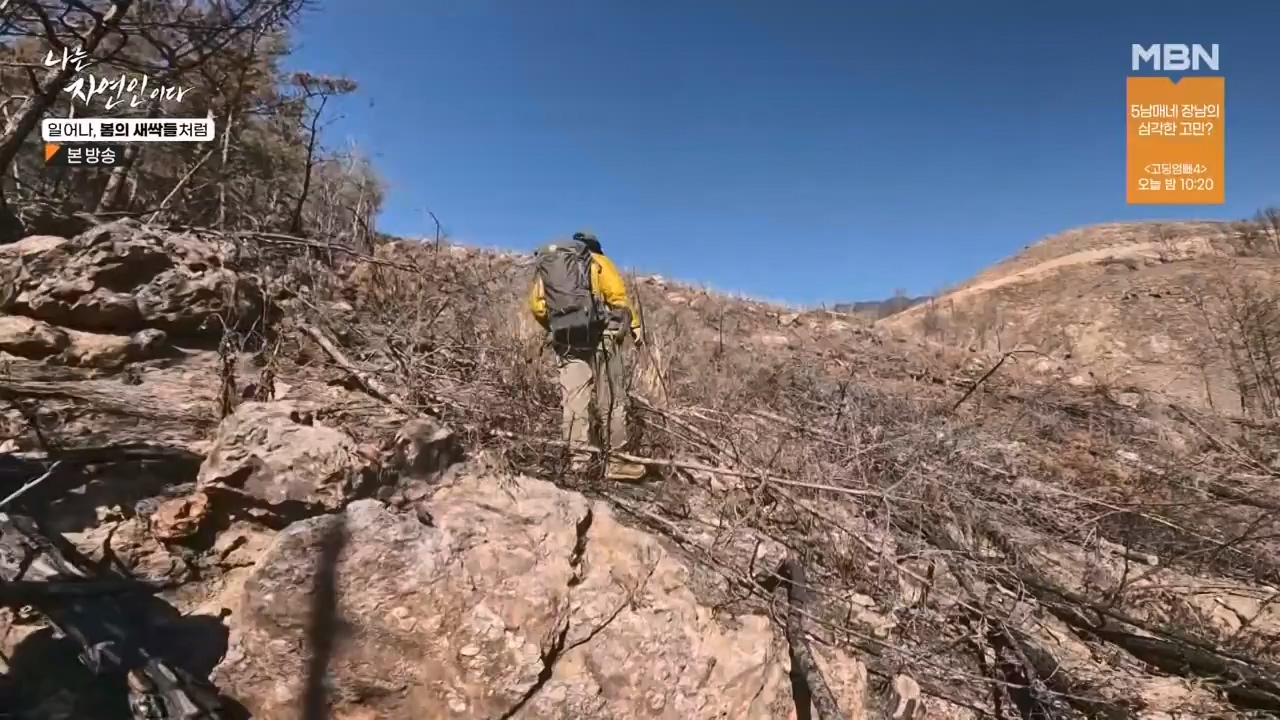 나는 자연인이다.E593.240215p-NEXT.mp4_20240215_200726.551.jpg