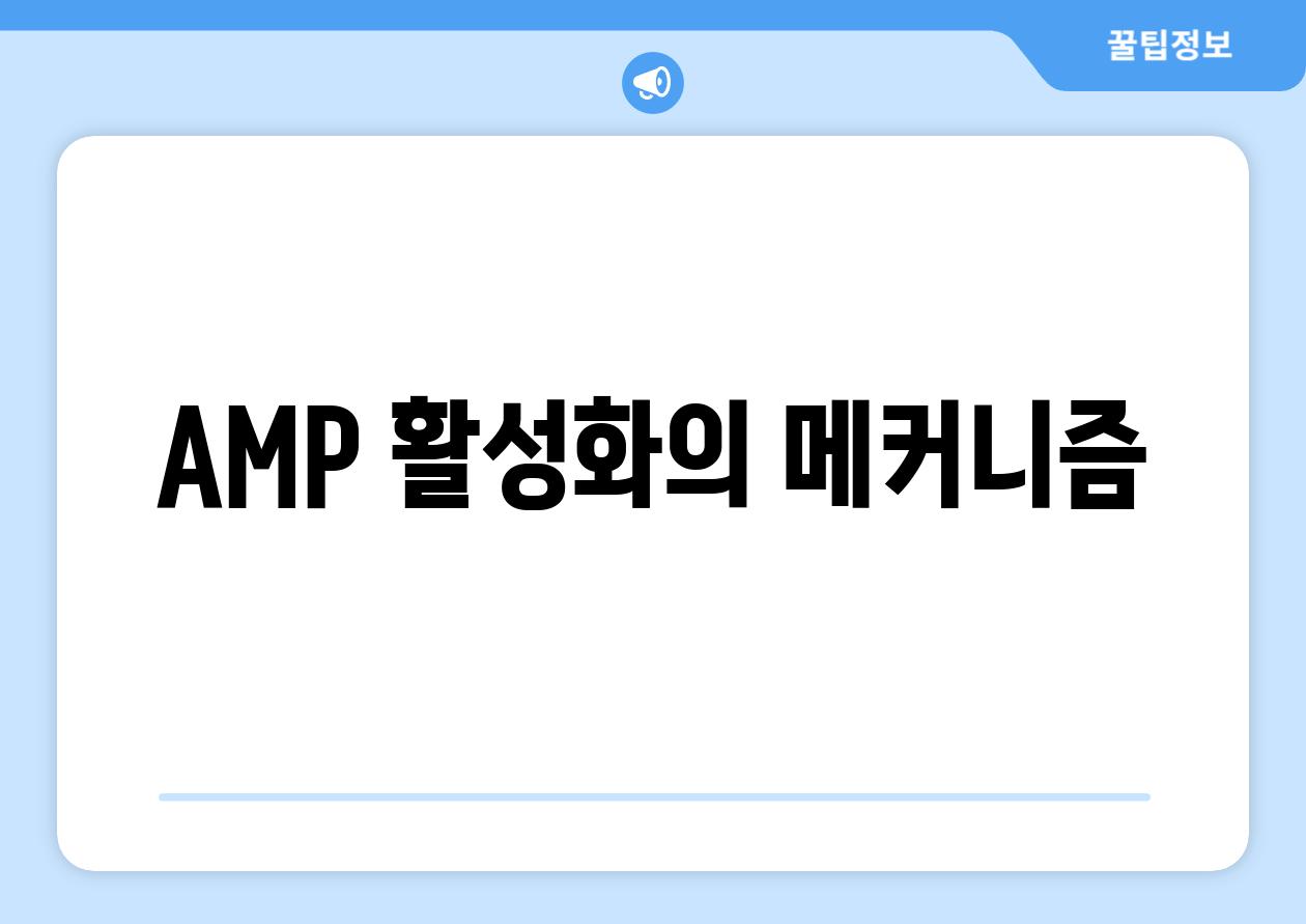 AMP 활성화의 메커니즘