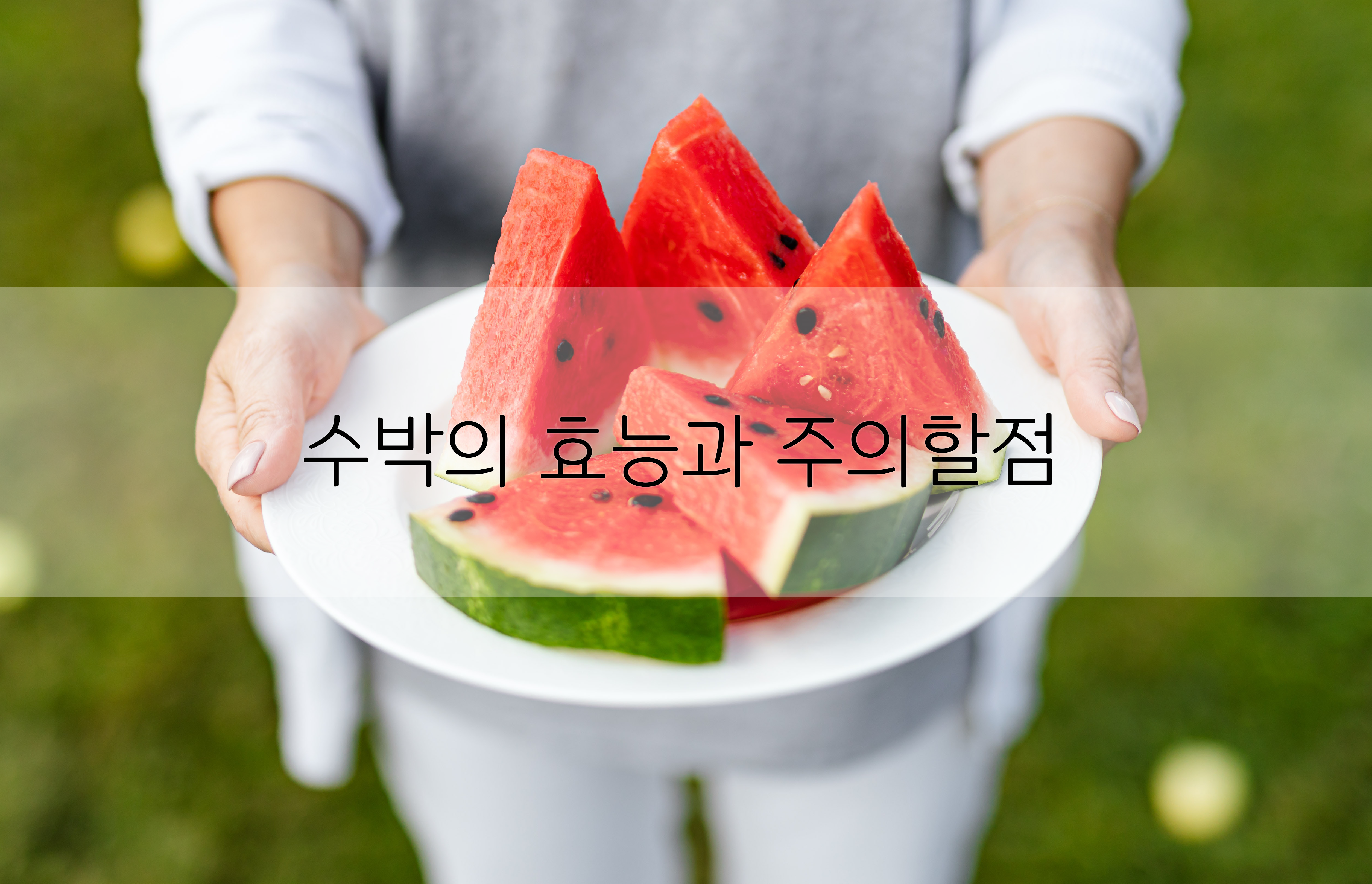  여름 제철 과일인 수박의 좋은점과 주의할점.
