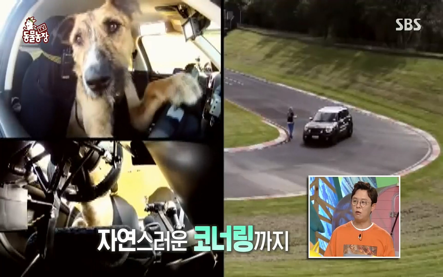 TV 동물농장.E1074.220619p.H264-F1RST.mp4_20220619_175826.795.jpg