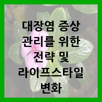  대장염 증상 관리를 위한 전략 및 라이프스타일 변화