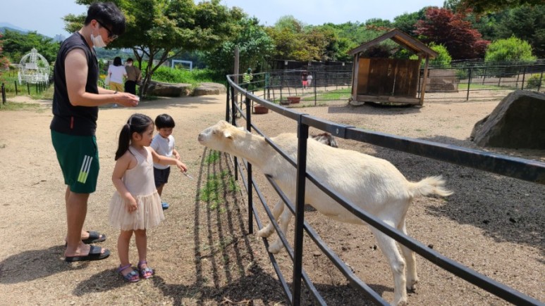 서울 근교 아이와 갈만한곳 [서울근교 갈만한곳] 남양주 산들소리수목원 37