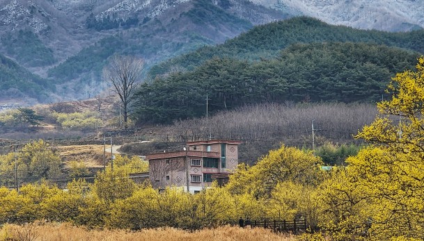 봄 여행지 추천 - 산수유 명소&amp;#44; 3월 여행하기 좋은곳